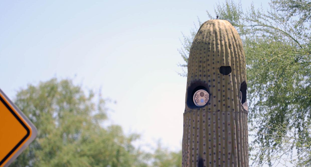 a traffic surveillance camera inside a fake cactus
