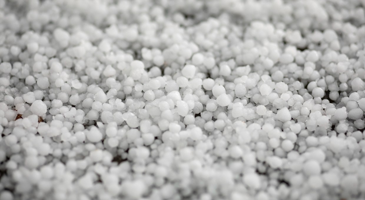 pellets of hail