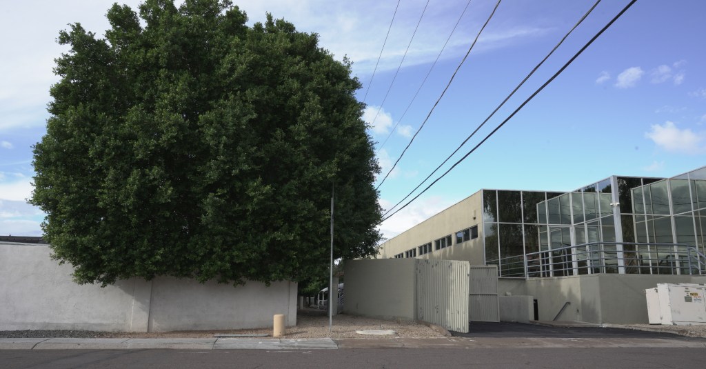 a backyard wall abutting an office building