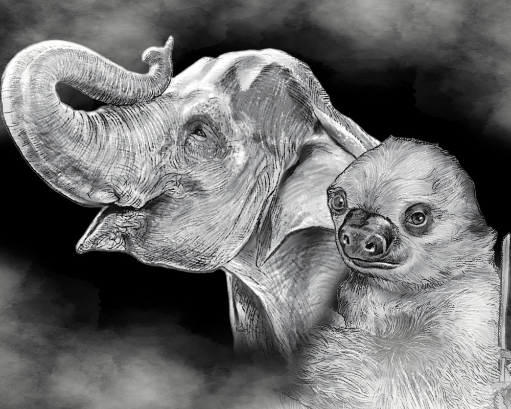 a black and white drawing of an elephant and a sloth