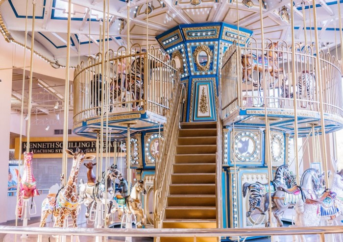 A carousel inside a suburban mall.