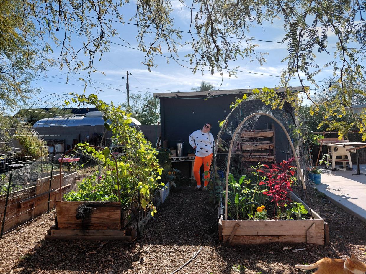 Meet the local farmer revolutionizing food systems one tomato at a time
