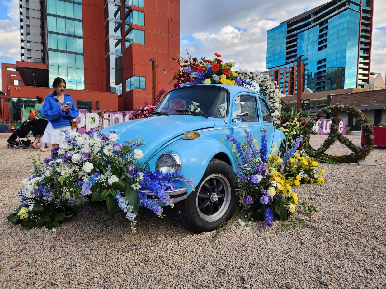 Photos: Tempe Blooms 2026 was a floral explosion