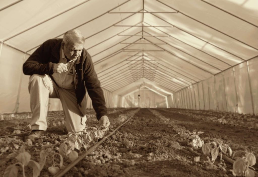 A farmer kneeling on the ground in a greenhouse.