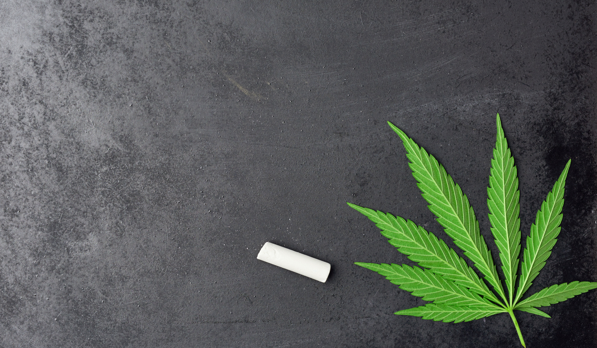 a cannabis leaf on a chalkboard