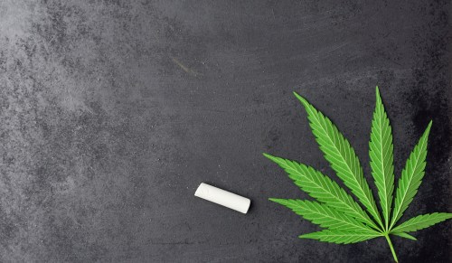 GateWay Community College offering two new cannabis certificates