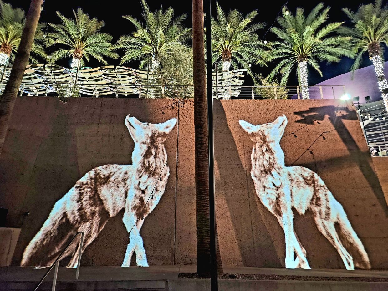 Annual Alt Fest art night lit up Mesa Arts Center