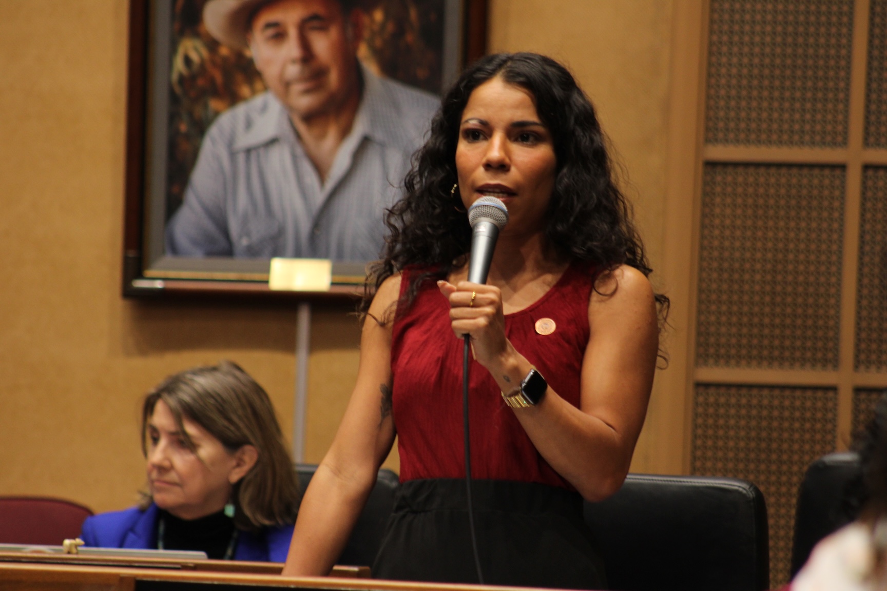 state senator Analise Ortiz speaks into a microphone on the Arizona Senate floor