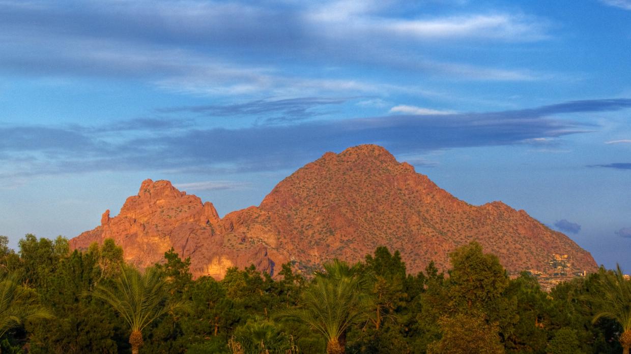 camelback mountain rises over the tops of palm trees