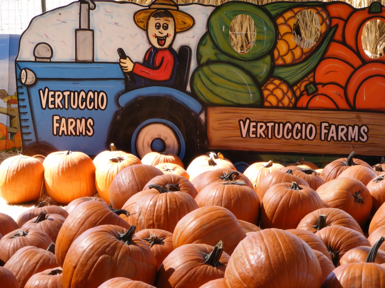 The Best Things to Do in Phoenix This Weekend