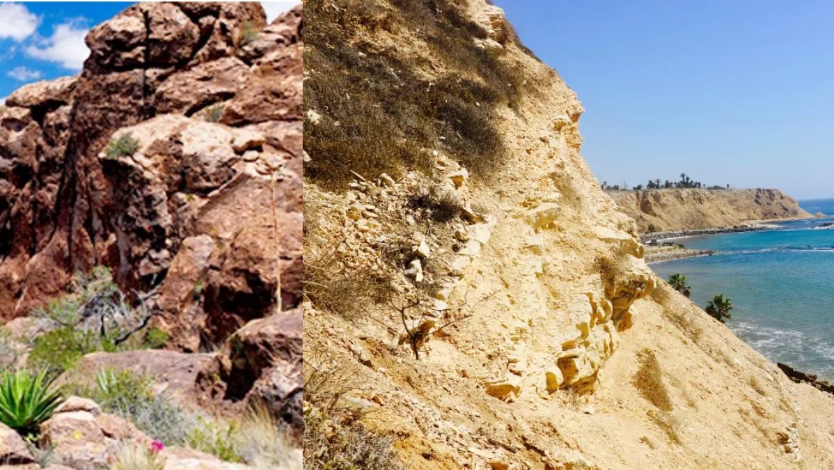 Start 2017 Right With These 5 Art Shows