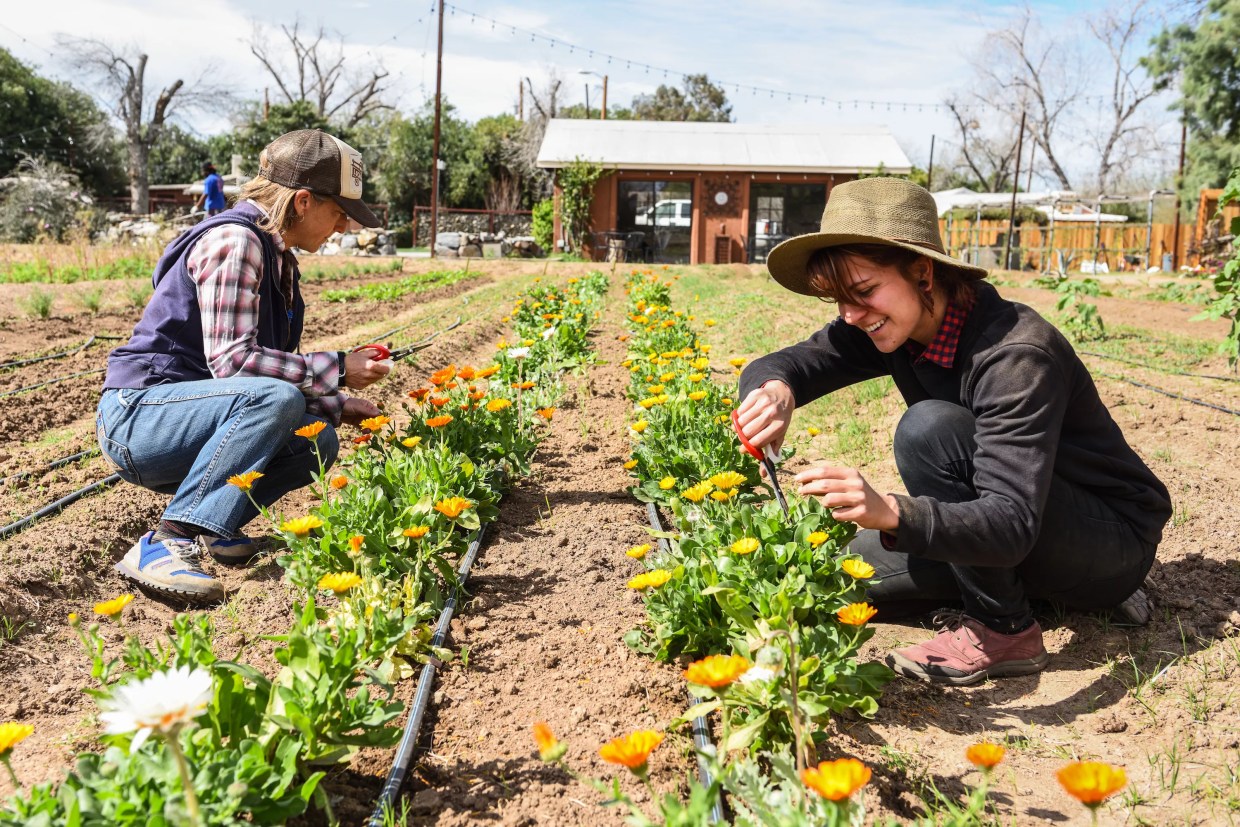 How The Farm at South Mountain outlasted many Valley farm-to-table concepts