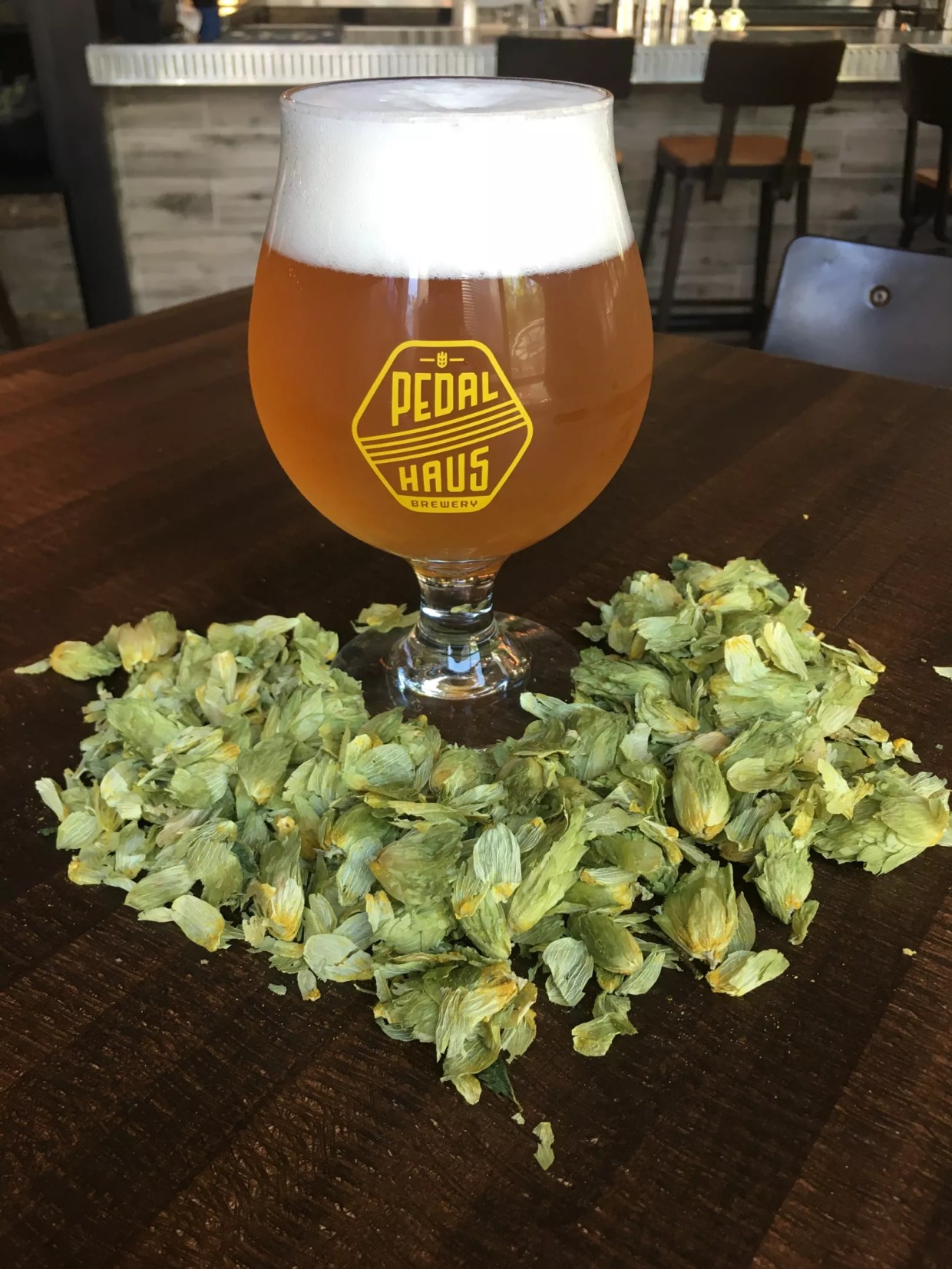 Brewed in Tribute to Ian Campbell-O’Neill, rICON Is Available Now at Pedal Haus Brewing in Tempe