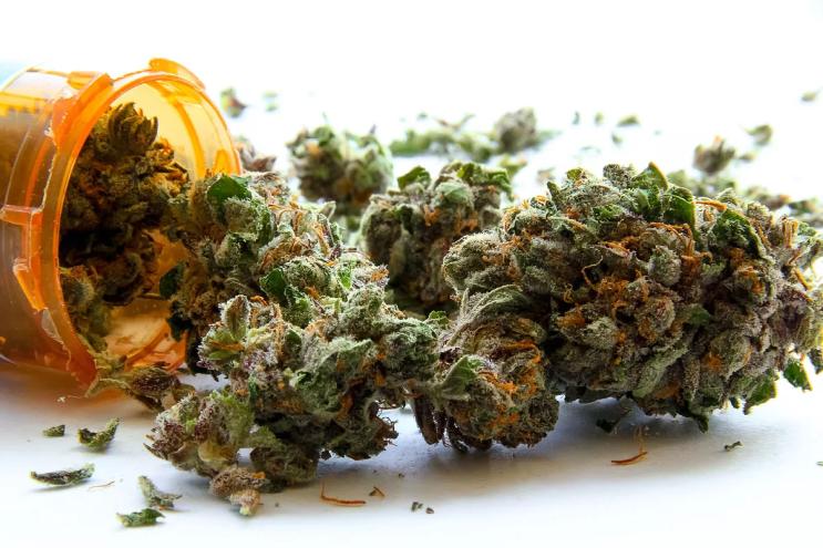 marijuana coming out of a prescription bottle.