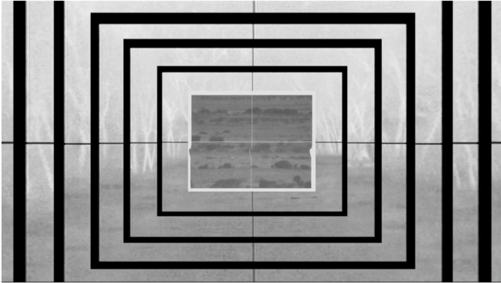 5 Must-See Art Shows in Tucson This Winter