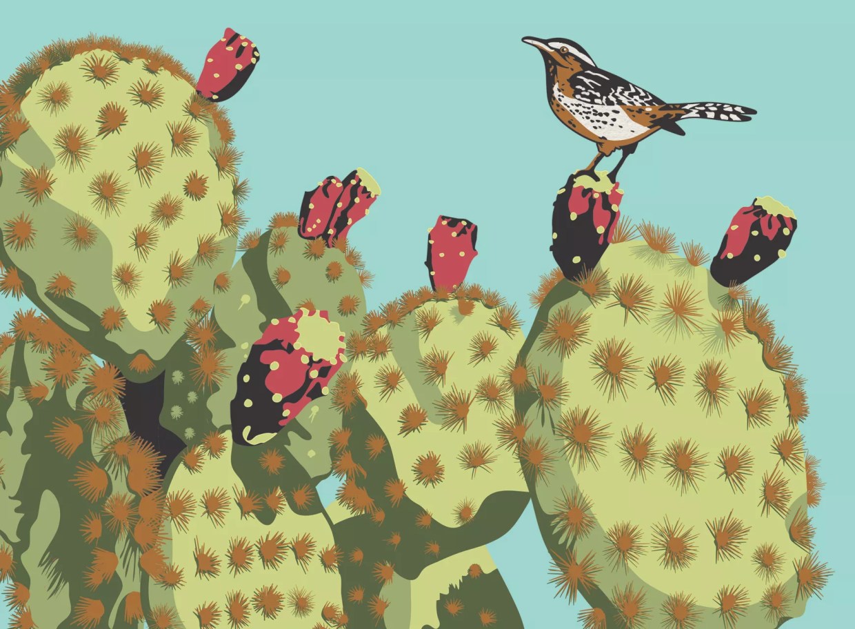 Here’s Your Guide to December’s First Friday in Phoenix