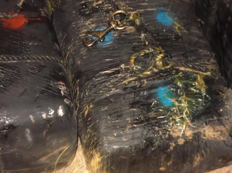 The Five Best Failed Drug-Smugging Attempts in 2017