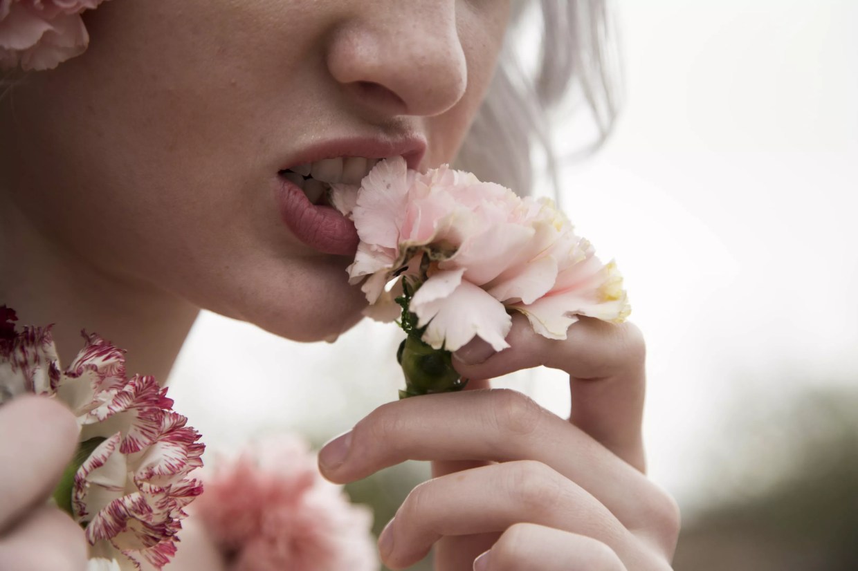 Here’s Your Guide to February’s First Friday in Phoenix