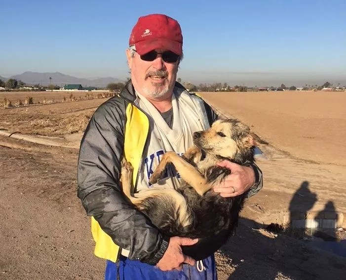 Canal Rescue:  A Puppy Found and Car Keys Lost