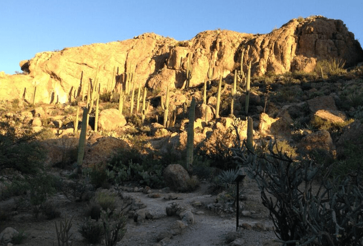 Memo: Arizona Parks Considered Gift From Mine Company While Ignoring Waste Site