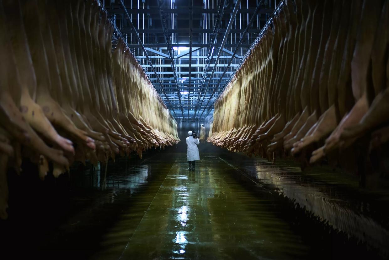 <i>Eating Animals</i> Demands We Face the Truth About Factory Farming