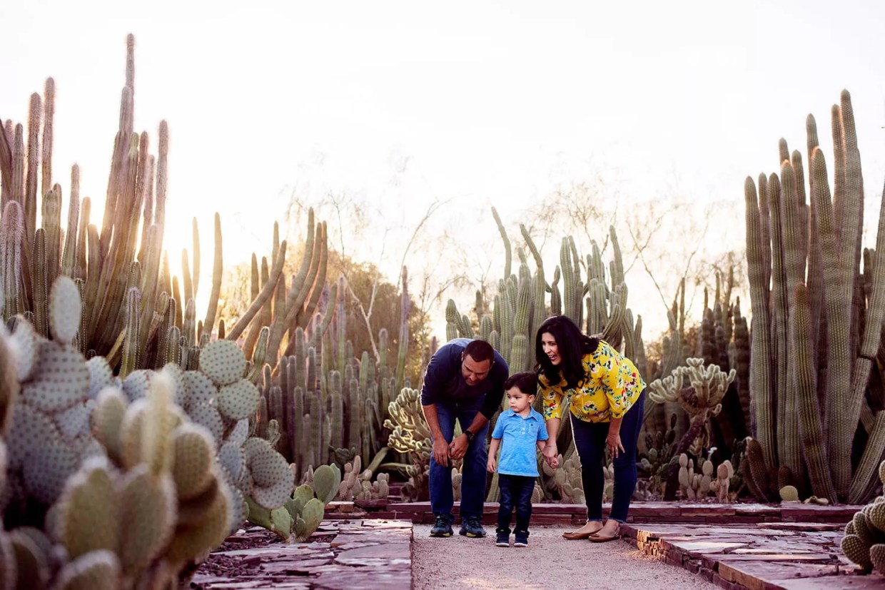 Desert Botanical Garden Celebrates 80 Years With a Birthday Bash