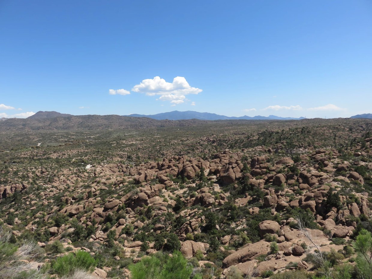 Biden Administration Says Oak Flat Land Swap Should Proceed Despite Lawsuit