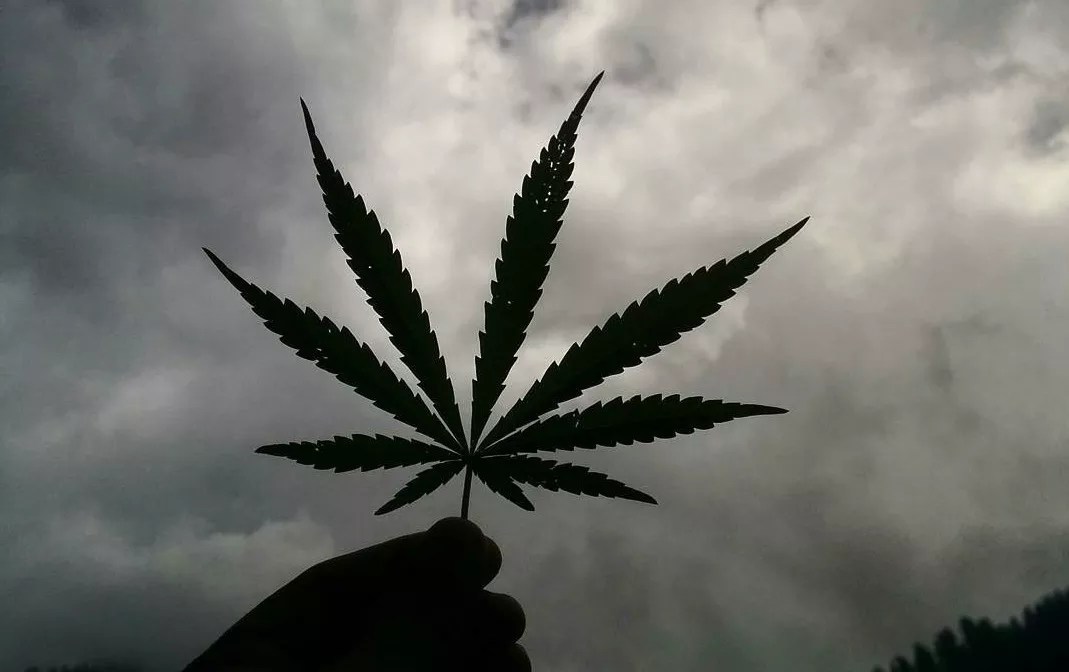 How to Get an Arizona Medical Marijuana Card in Four Easy Steps: 2019 Edition