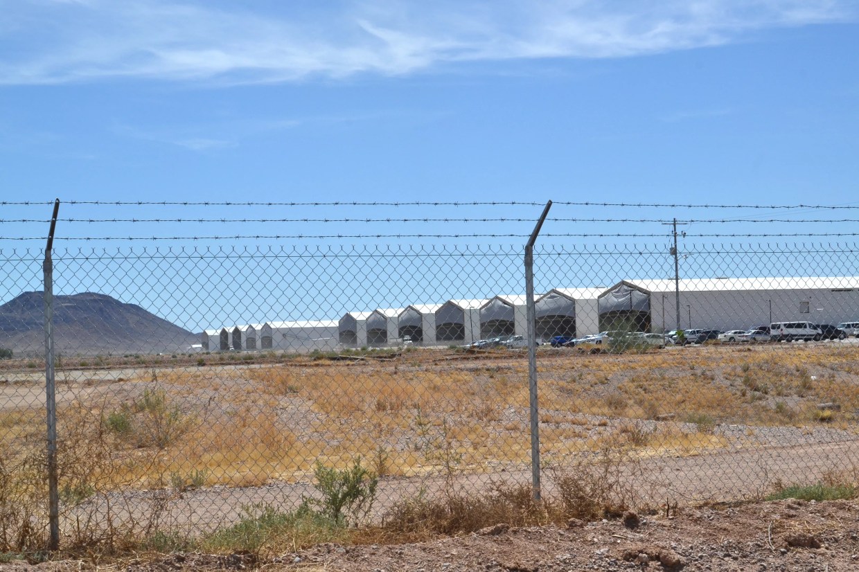 More Arizona Inmates Report Serious Injuries While Working at Hickman’s Egg Farm