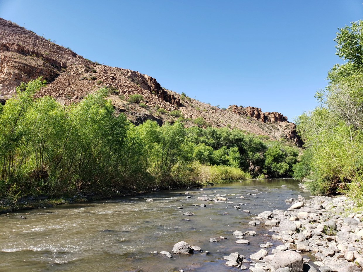 Ashleigh Thompson Works to Make Climbing More Inclusive