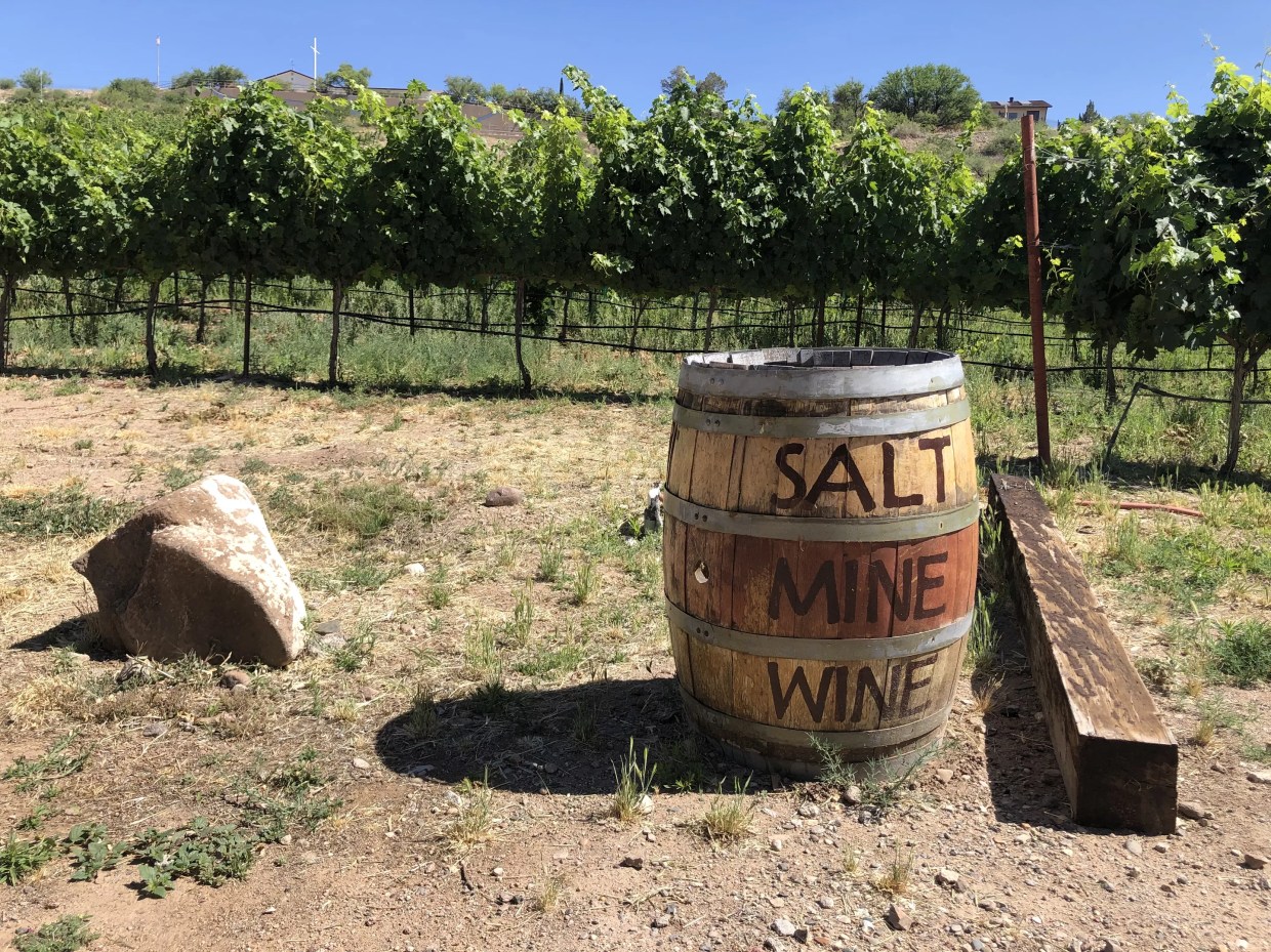 Sonoran Arcana: Growing Grapes and Making Wine in the Desert