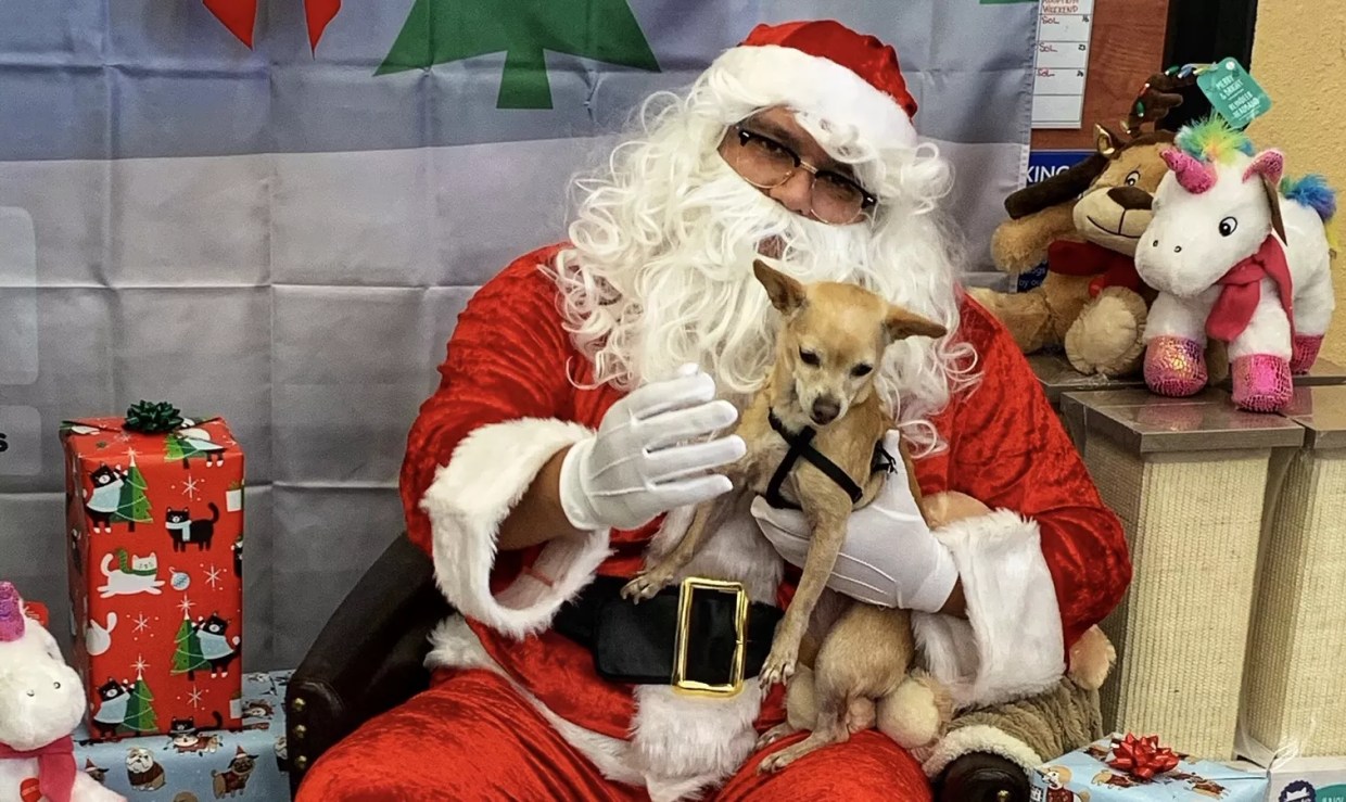 Santa Paws: A Visit With the Pet Store Saint Nick