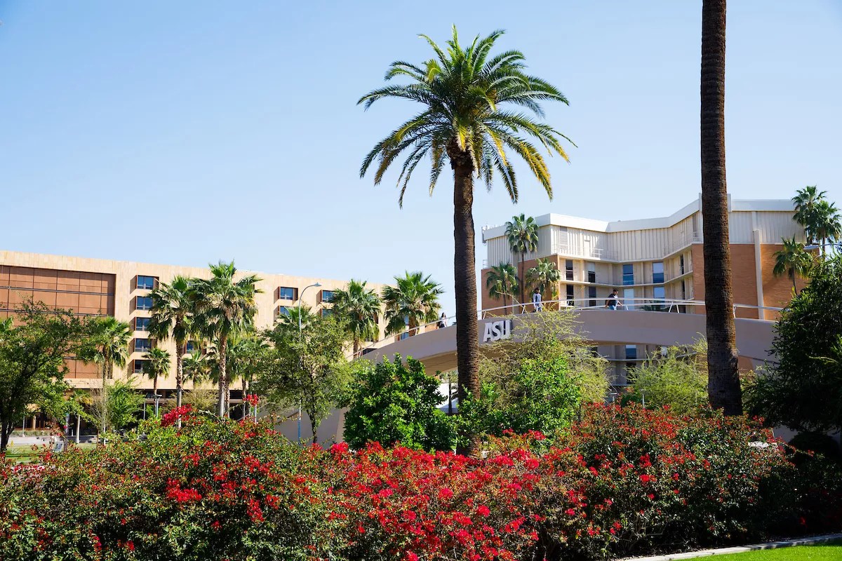 Why Can’t ASU Instructors Alert Students About Positive COVID Cases in Their Classes?