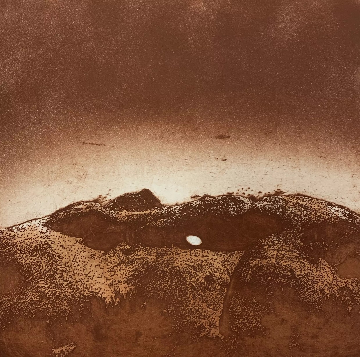 How Papago Park’s Hole in the Rock Became a Sound Art Speaker — for Animals