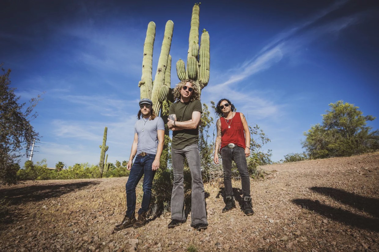 Three Concerts to Livestream This Weekend