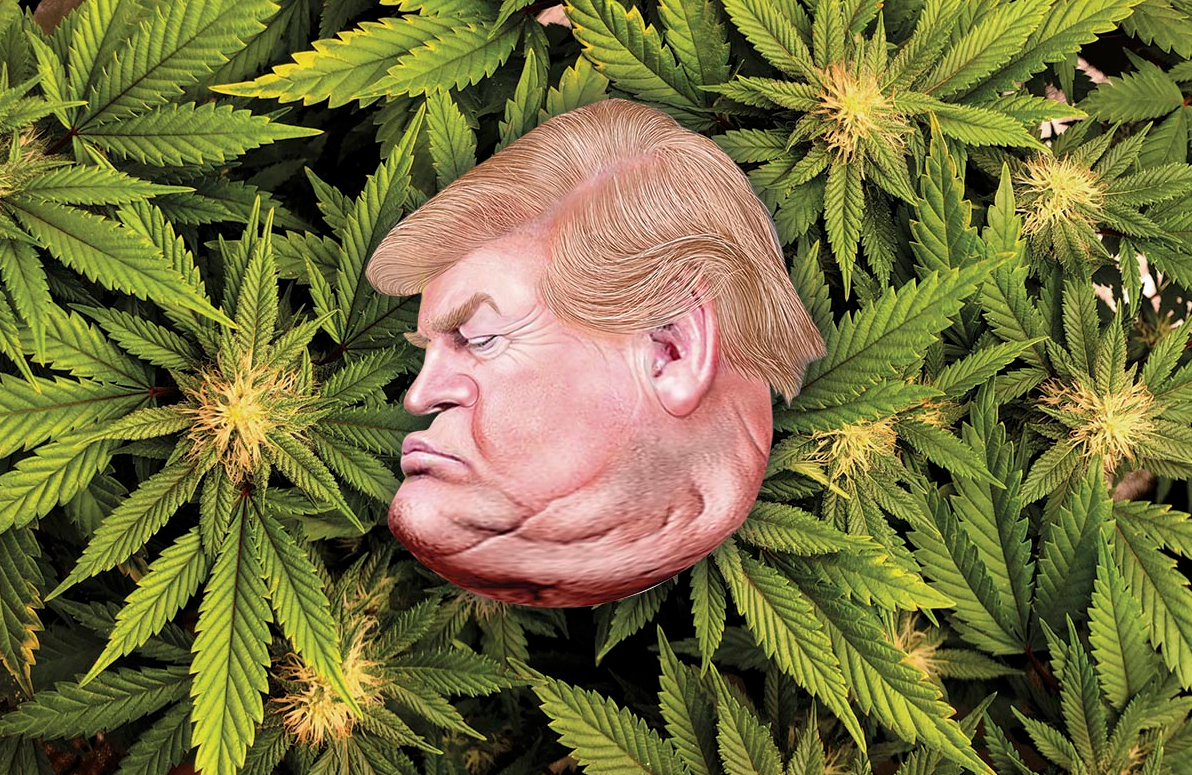 Prop 207 Could Be a Game-Changer —&nbsp;and Not Just in Arizona