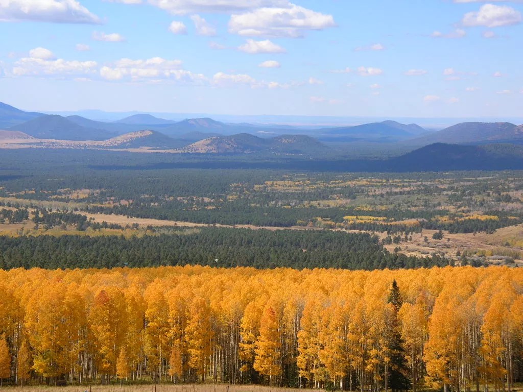 Five Places to See Fall Leaves Change Color in Arizona