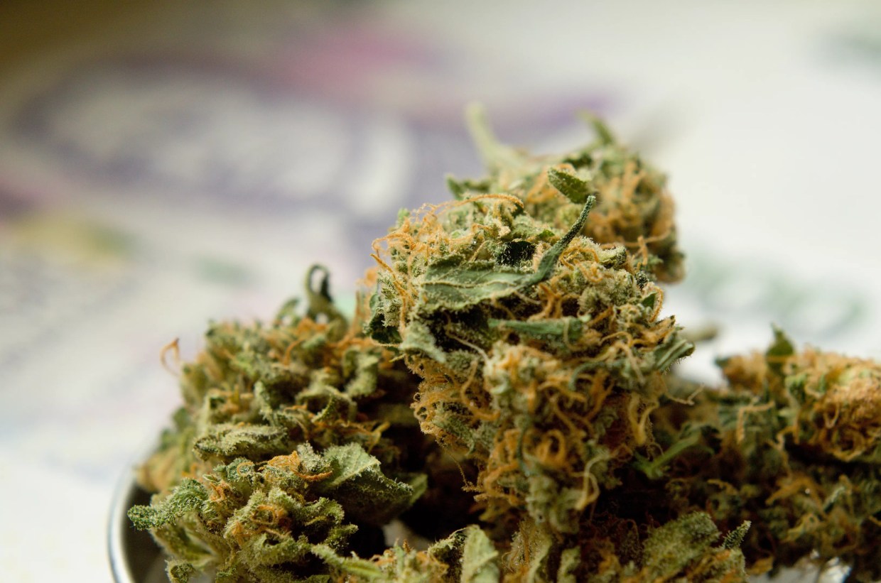 Arizona Courts Prepare for Pot Legalization and Expungement Law