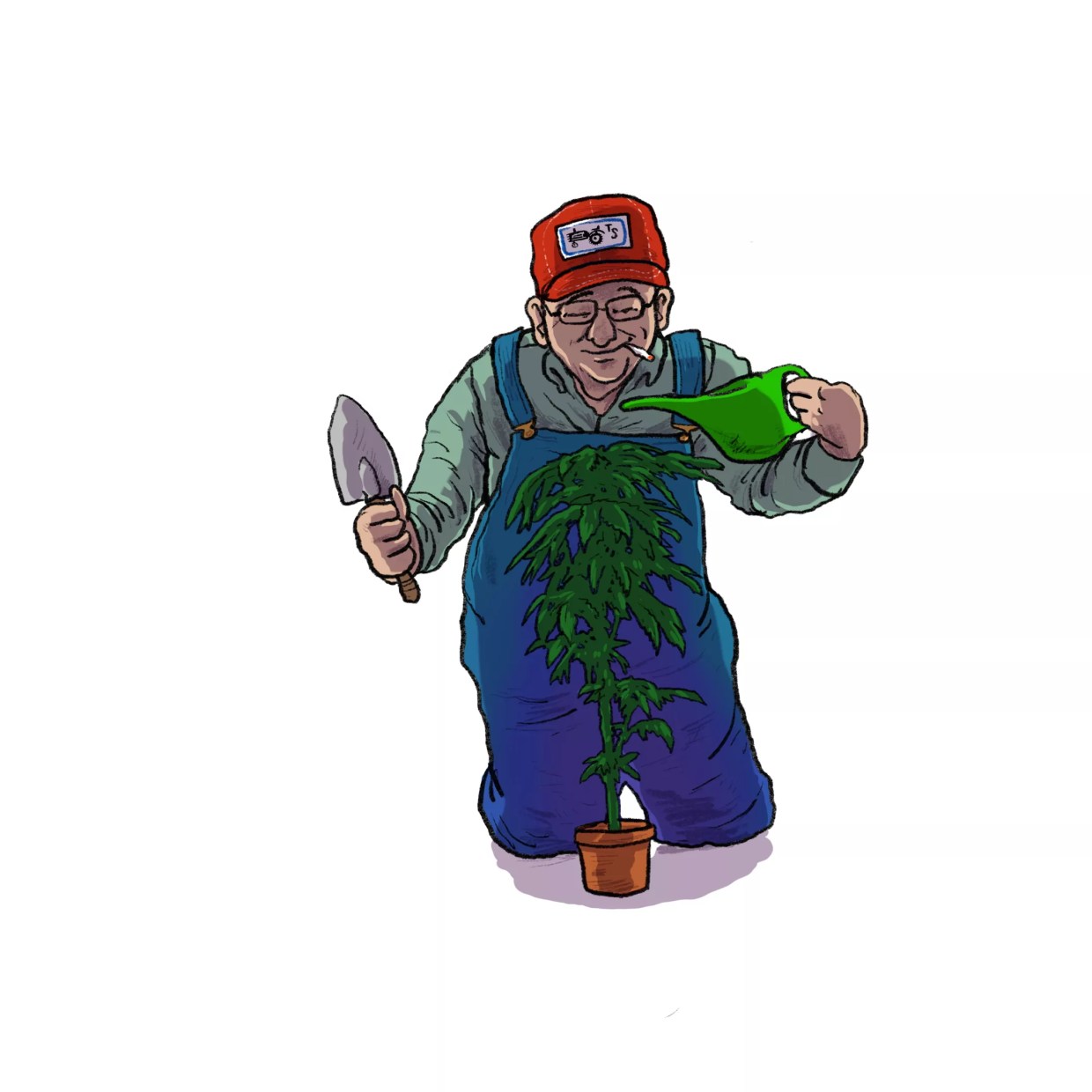 Buy It, or Grow Your Own? Weighing Arizona’s Post-Legalization Pot Options