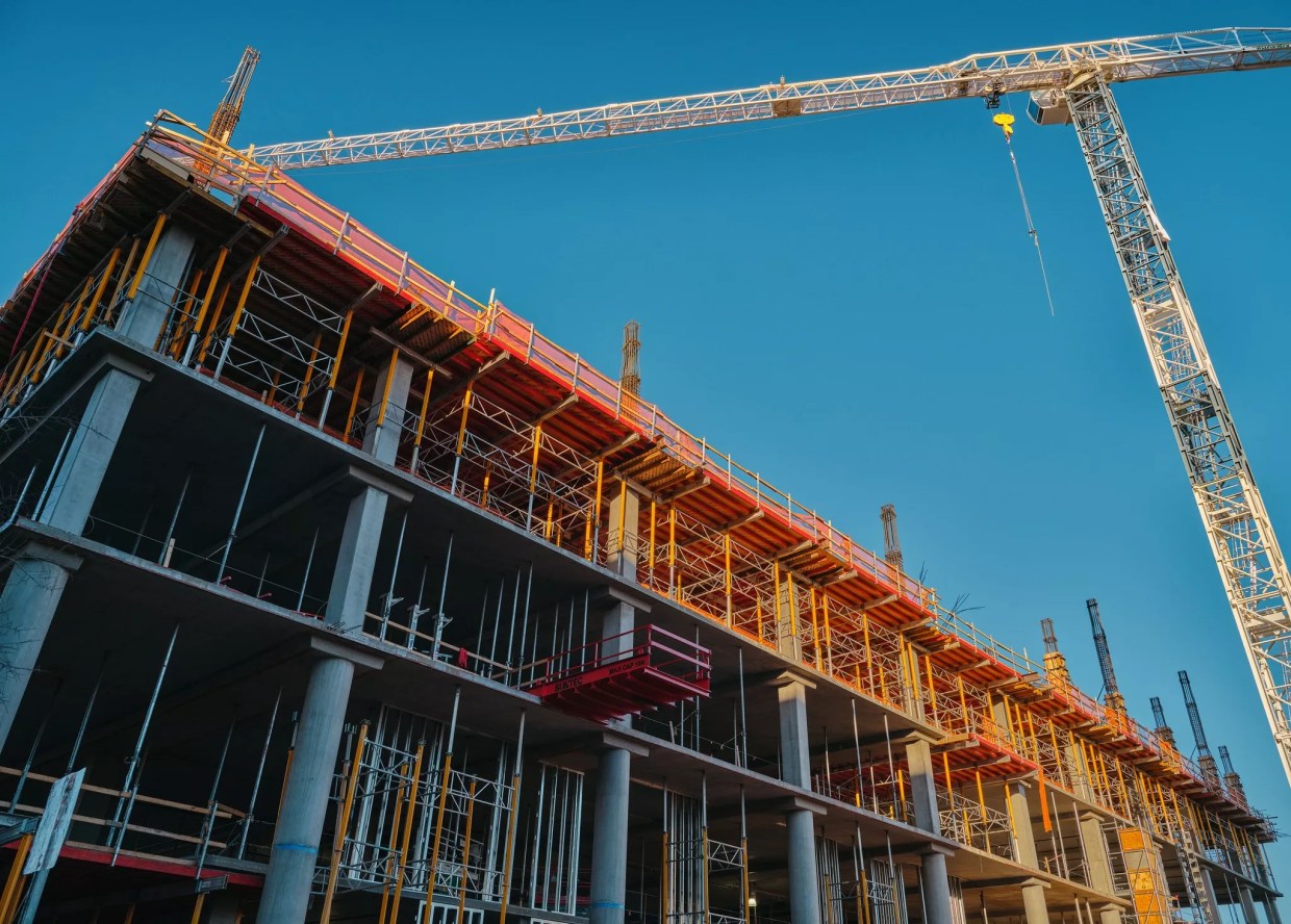 Is the City of Phoenix Scuttling a Proposal to Protect Trees from Construction?