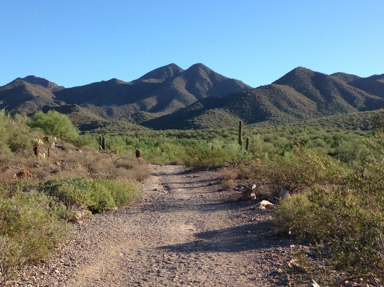7 dog-friendly hiking trails in metro Phoenix