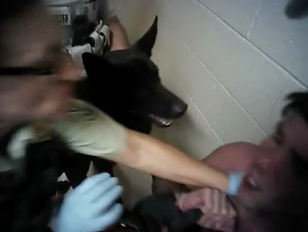 Maricopa County Sheriff’s Deputy Cleared After Siccing Dog on Cuffed Inmate in Cell
