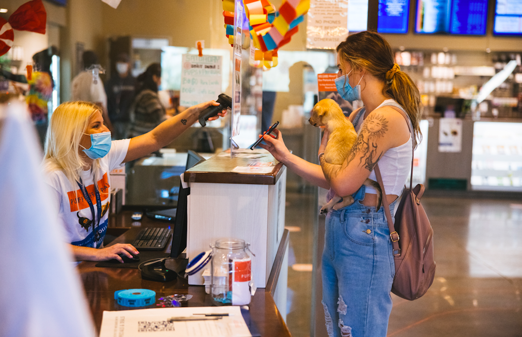 Thank You for Adopting This Dog, Here Is Some Marijuana