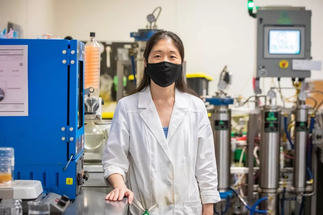 Rise of the Brands: New Competition Is Flooding Into Arizona’s Cannabis Market