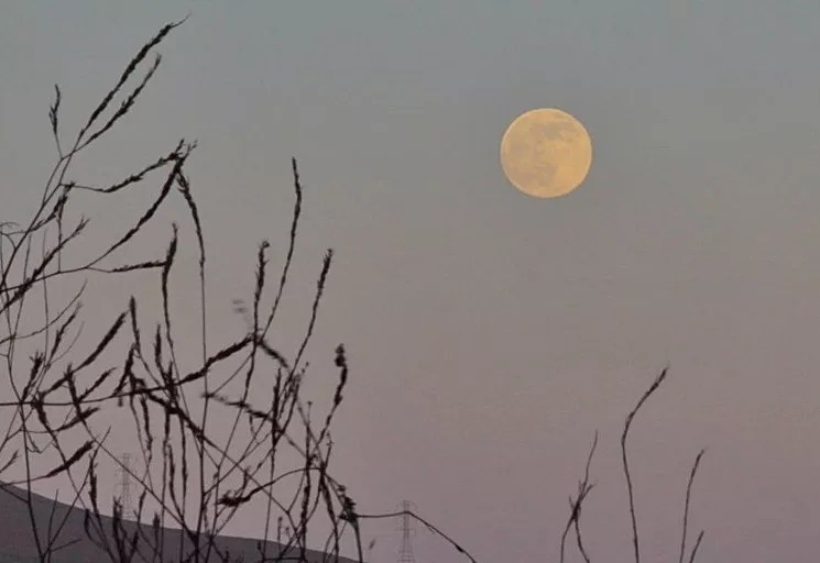 Here’s How (and When) to See June’s Strawberry Supermoon Over Arizona Tonight
