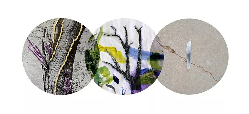 The Best Things to Do in Phoenix This Weekend