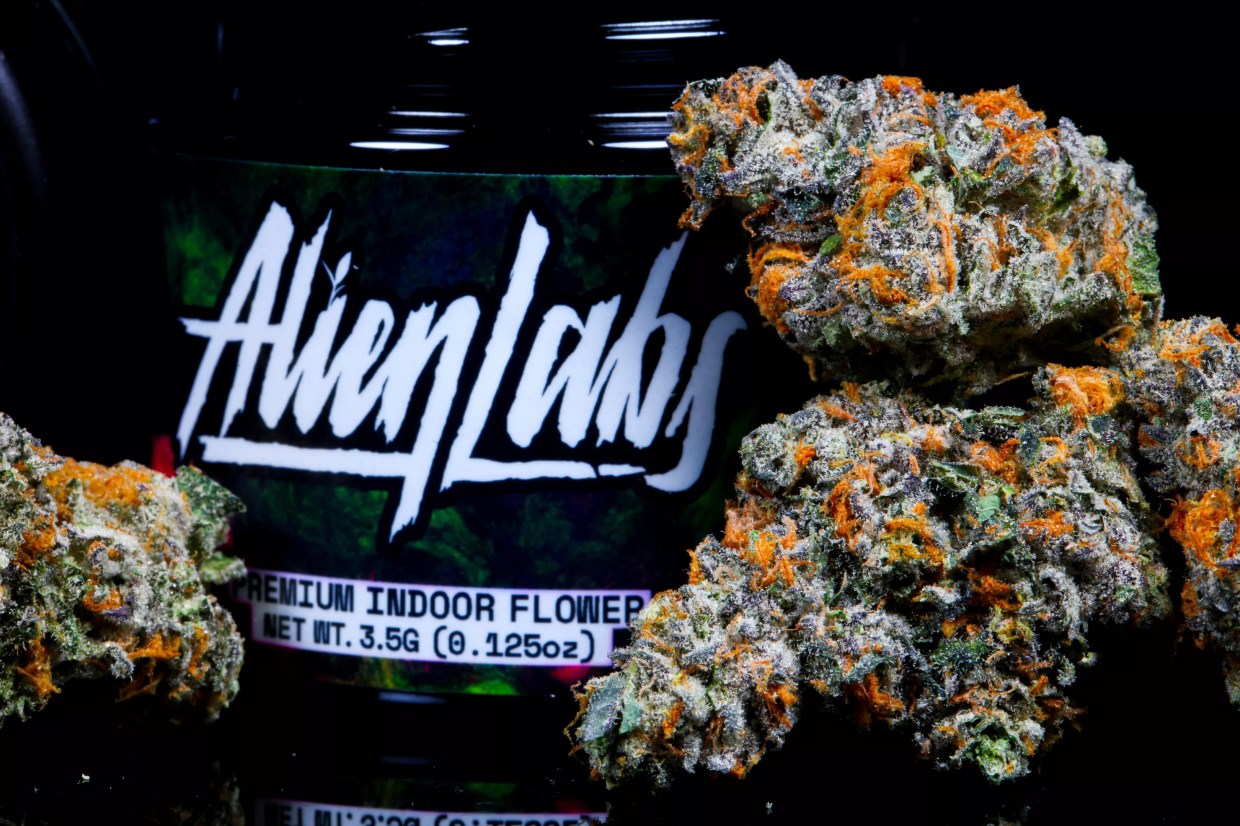 Now Growing in Arizona: Connected Cannabis