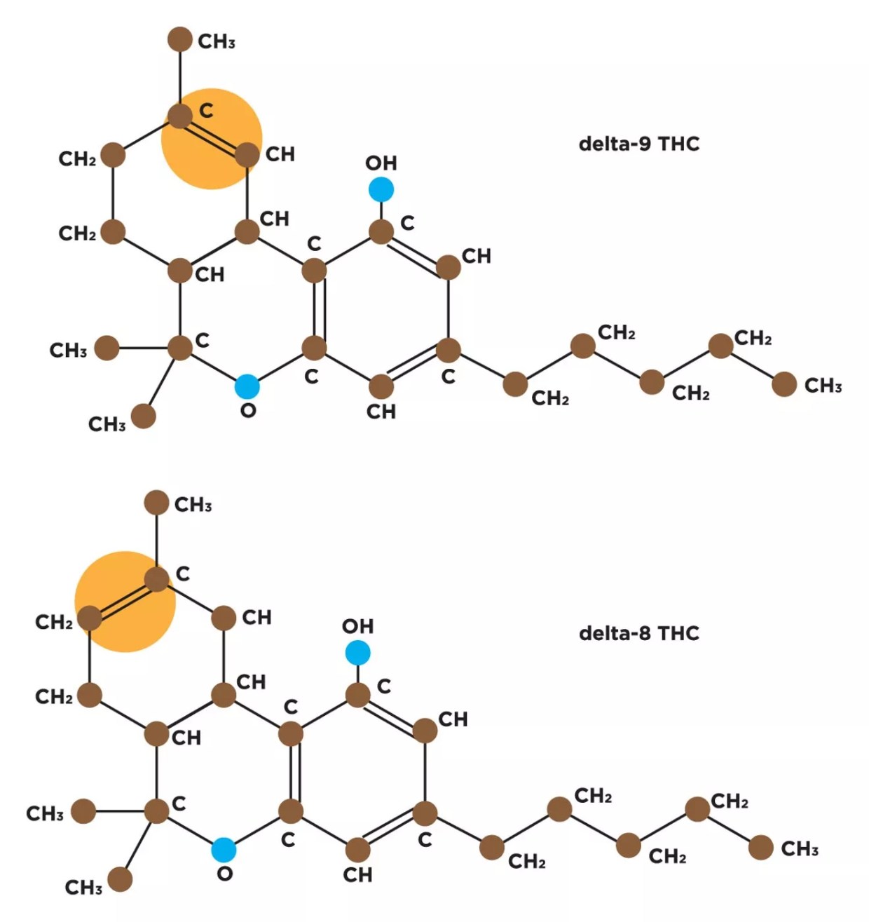 Nobody Seems to Know If Delta 8 Is Legal in Arizona. But That Doesn’t Mean Nobody’s Selling It.