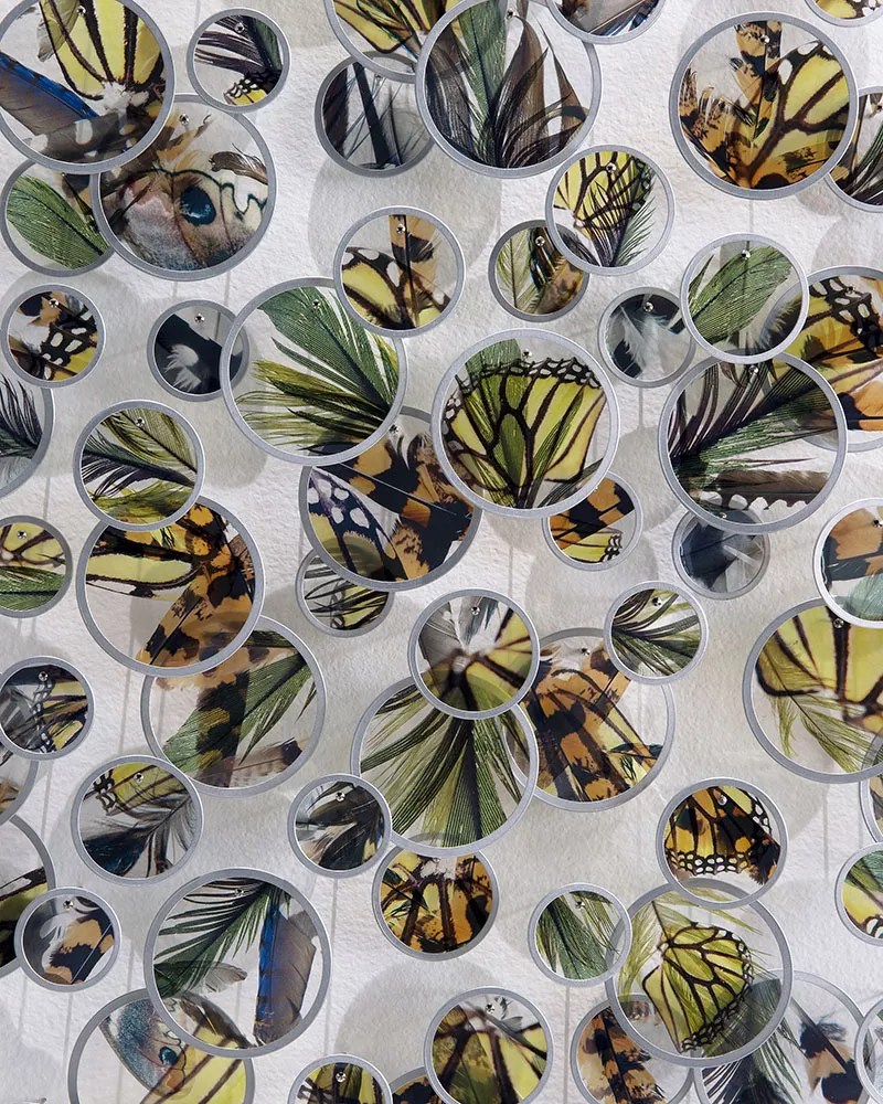 The Best Things to Do in Phoenix This Week