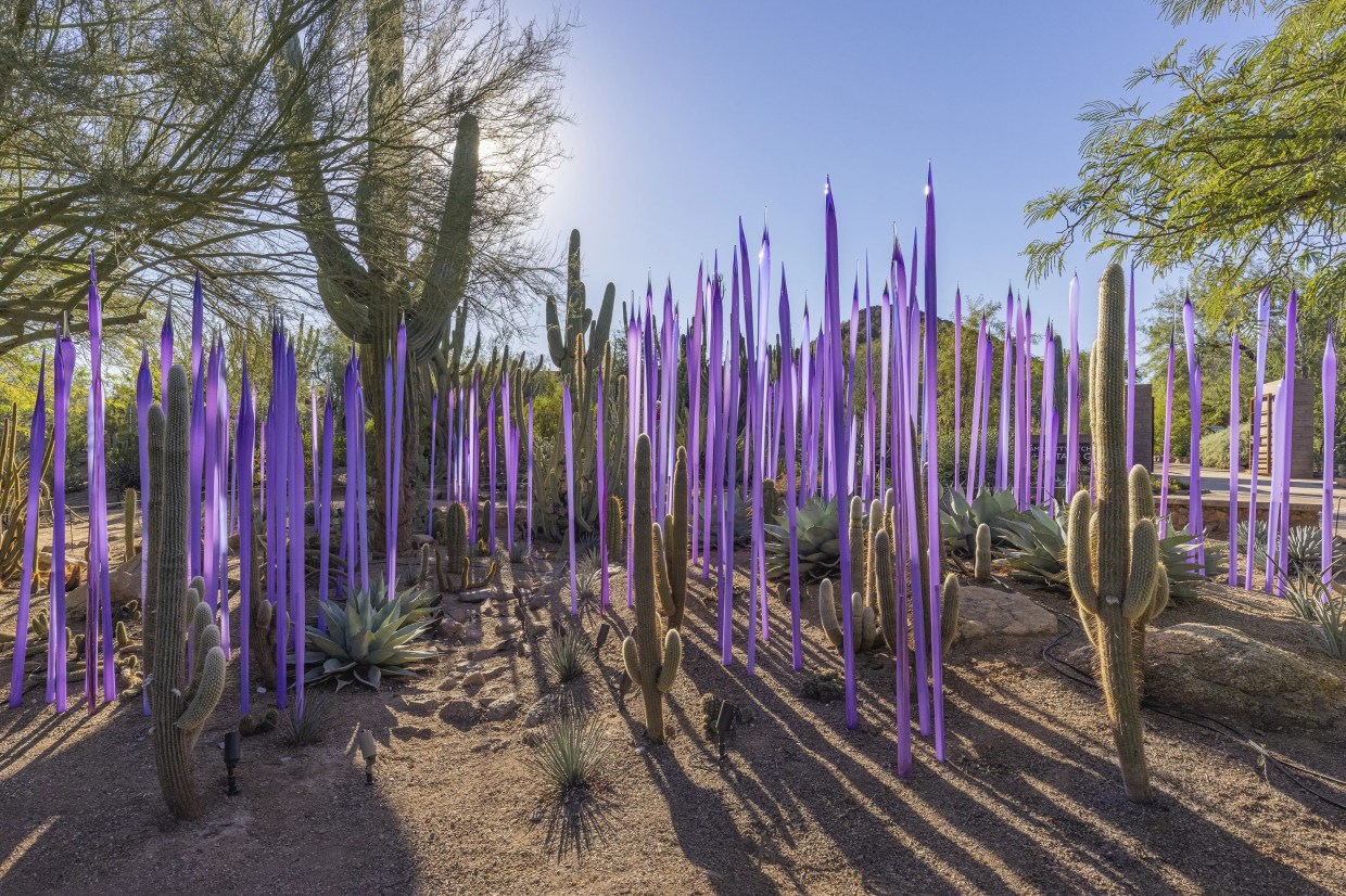 ‘Chihuly in the Desert’ Exhibit Blends Art With Architecture and the Desert Landscape